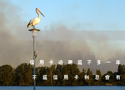 信用卡逾期還不多一年多少利息呢，逾期一年不還信用卡，利息會有多高？